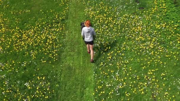 Žena Seká Trávník Sekání Trávníků Letecký Pohled Krásná Žena Sekačka — Stock video