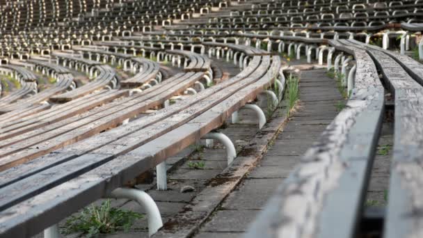 Vue Rapprochée Des Bancs Bois Dans Une Rangée Amphithéâtre Extérieur — Video