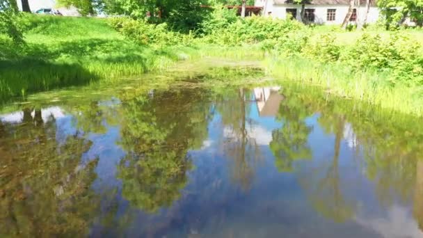 Letecký Dron Záběr Malého Rybníka Během Slunečného Teplého Jarního Dne — Stock video