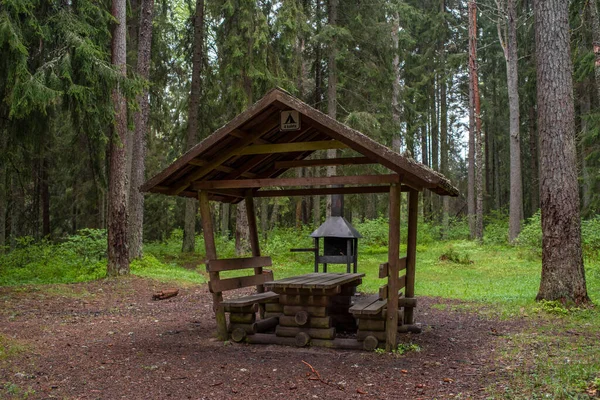 Public Rest Barbeque Rmk Area Estonian Forest Ida Virumaa County — Stock Photo, Image