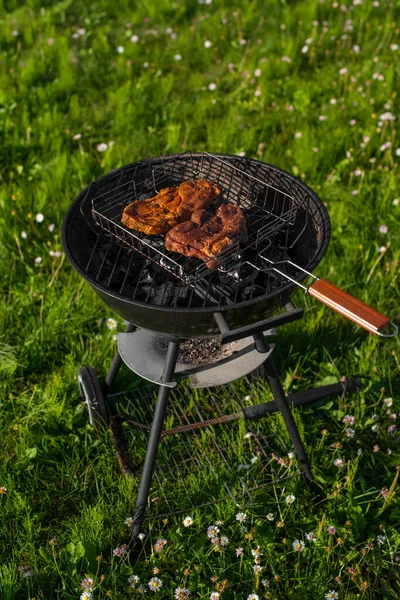 Cerdo Sazonado Parrilla Asar Carne Aire Libre Una Parrilla Barbacoa —  Fotos de Stock