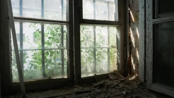 汚れて錆びた古い壊れた禁止窓を通って表示します 放棄されたPatarei刑務所の内部 Patarei Vangla — ストック動画