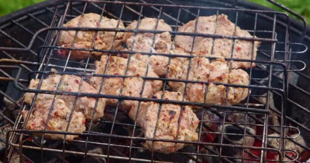 Nahaufnahmen Von Gereiftem Schweinefleisch Auf Dem Grill Schaschlik Grillen Draußen — Stockvideo