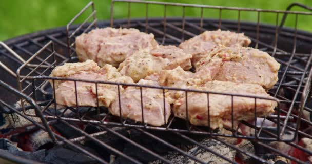 Nahaufnahmen Von Rochengewürztem Schweinefleisch Auf Dem Grill Schaschlik Grillen Draußen — Stockvideo