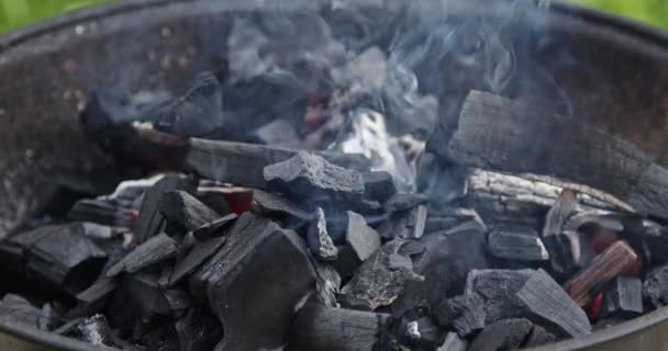 Nube Humo Fuego Parrilla Carbón Las Llamas Humo Preparación Los — Vídeo de stock