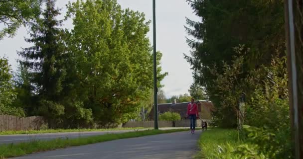 Sokakta Köpeğiyle Yürüyen Kızıl Saçlı Güzel Beyaz Bir Kadının Görüntüsü — Stok video