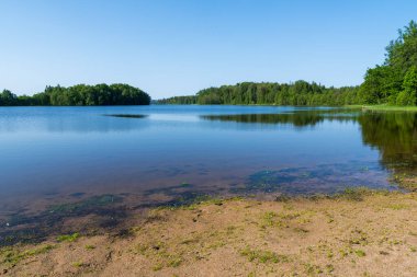 Etrafı yemyeşil ormanlarla çevrili sakin bir tatlı su gölü kumlu bir sahil ve temiz suyla. Sakin su yüzeyi ve ağaç yansımalarıyla doğal yaz manzarası.