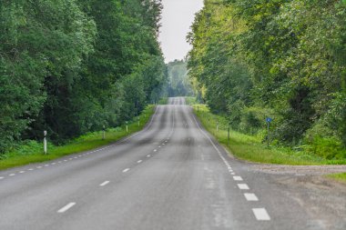 Yazın yemyeşil bir orman tüneli boyunca uzanan boş bir asfalt karayolu beyaz şeritli manzaralı bir köy yolu yoğun ağaç tepe örtüsünün altında gözden kayboluyor..