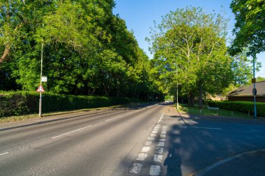Norwich, UK- 17 Mayıs 2025: Tepesinde asılı ağaçlar, yaya geçidi işaretleri, sokak mobilyaları, trafik işaretleri ve tipik bir İngiliz banliyö manzarasında yeşil çitler bulunan huzurlu mahalle yolu