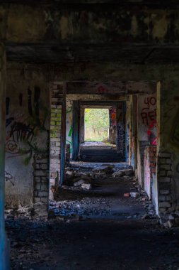 Tallinn, Estonya - 11 Ekim 2025: Parlak bir kapı aralığına ve ötesine açılan duvar yazıları olan terk edilmiş bina iç koridoru. Kentsel bozulmayı ve vandalizmi gösteren terk edilmiş yapı koridoru. 