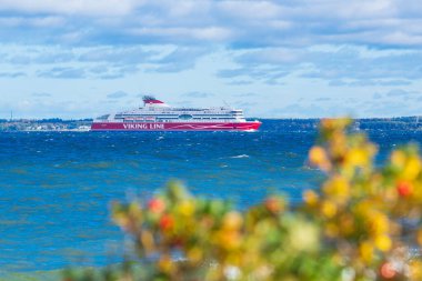 Tallinn, Estonya - 11 Ekim 2025: Viking Hattı yolcu feribotu Tallinn, Estonya yakınlarındaki mavi Baltık Denizi sularında güneşli bir sonbahar gününde ön planda sarı kır çiçekleriyle yol alıyor.