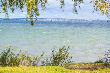 Scenic sea view framed by green tree branches with the city skyline in the distance. Tranquil ocean waterfront landscape featuring blue water, grassy shore, hanging foliage and distant urban coastline