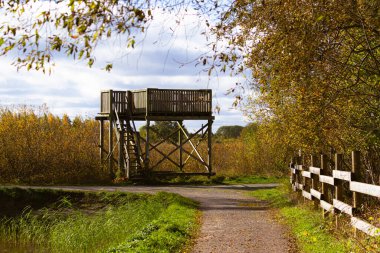 Ahşap yaban hayatı merdiven ve güverteye bakan sonbahar manzaralı kule yapısı altın yapraklar, ağaçlar ve doğal bir dinlenme alanında ahşap çitli bir yol ile çevrili.