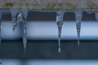 Soğuk bir kış gününde yosunlu beton çatı kenarından sarkan buz saçakları ve metal yağmur oluğu. Çarpıcı yakın çekim makro fotoğrafçılık kristal berrak doğal buz oluşumlarını dışarıda yakalıyor..