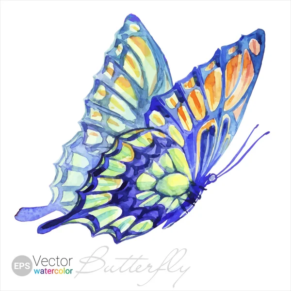 Vector acuarela cola de golondrina mariposa — Vector de stock