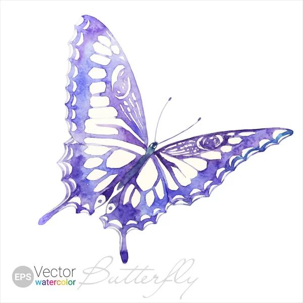 Vector acuarela cola de golondrina mariposa — Vector de stock