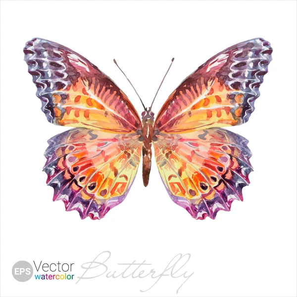 Vector Watercolor Butterfly The Red Lacewing — Stockový vektor