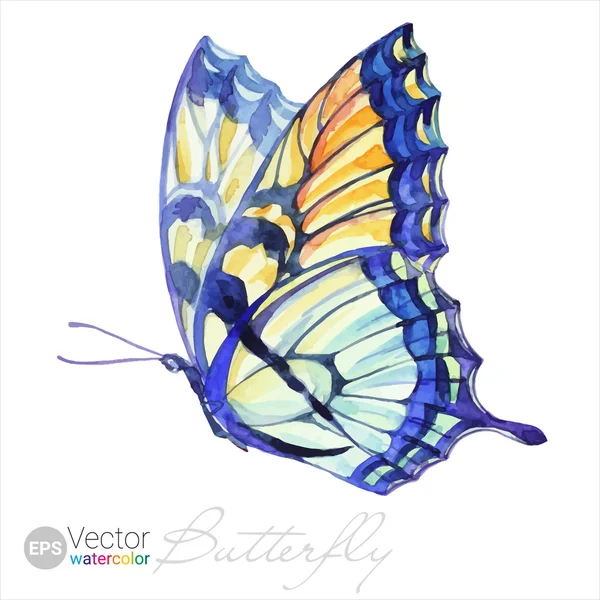Vektor akvarell fecskefarkú pillangó — Stock Vector