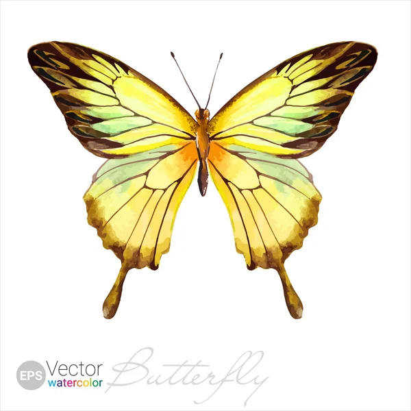 Vector Watercolor Butterfly The Ulysses butterfly. Yellow color illustration — ストックベクタ