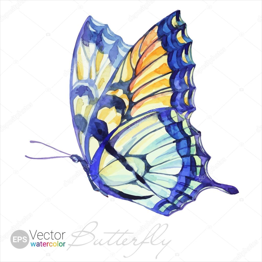 Vector Watercolor Swallowtail Butterfly