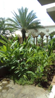 Endonezya Camii 'nin çevresindeki küçük bahçe