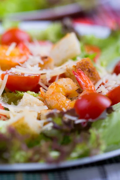 Ensalada César con camarones en una — Foto de Stock