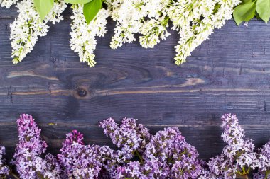 Lila üst görüntüleme