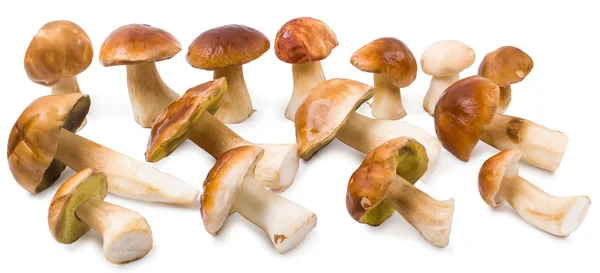 De cepes een — Stockfoto