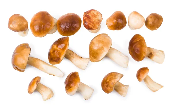 De cepes een — Stockfoto