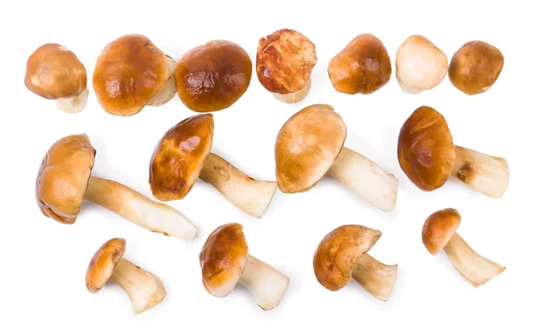 The cepes  a Stock Picture