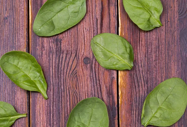 Spinach leaves in a plate — Stock Photo, Image