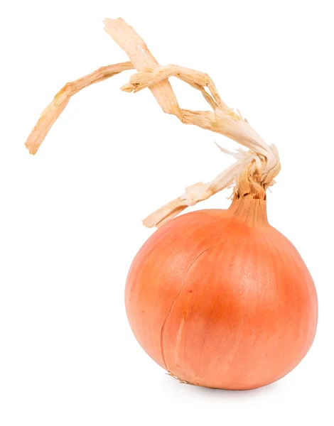 Onions white on a — Stock Photo, Image