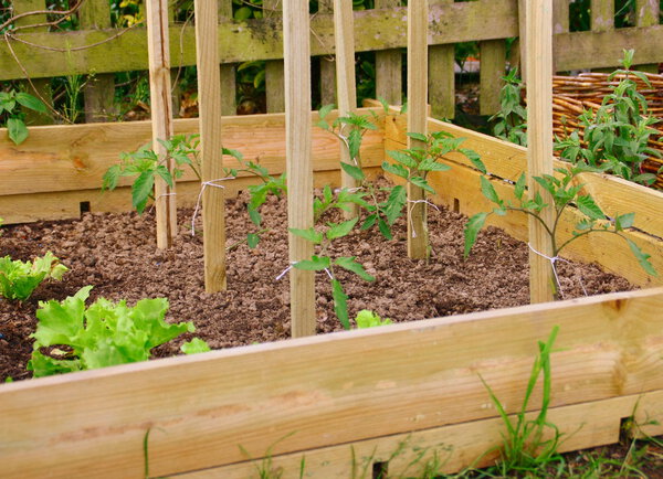 В саду на кухне
