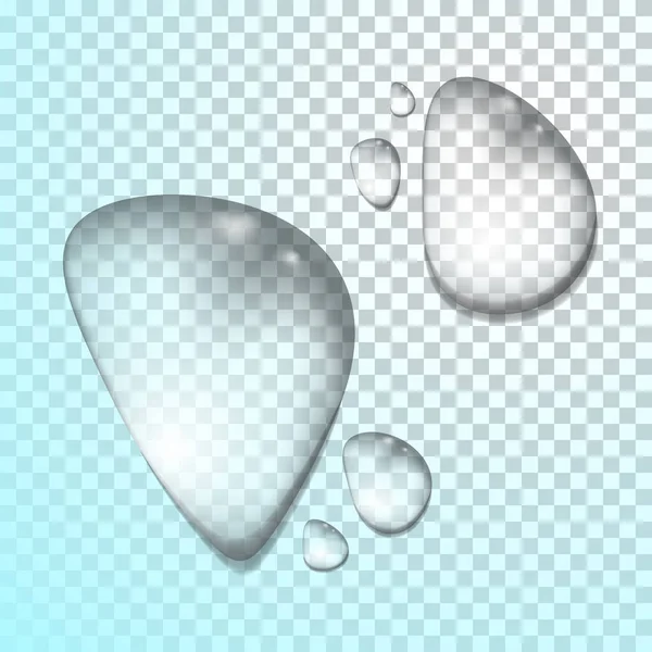 Saf berrak su damlaları izole edilmiş vektör çizimi