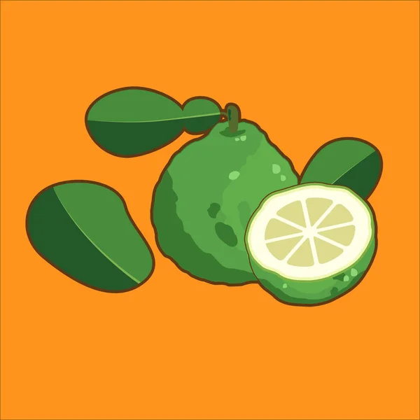 Icone Bergamoteストックベクター ロイヤリティフリーicone Bergamoteイラスト ページ 2 Depositphotos