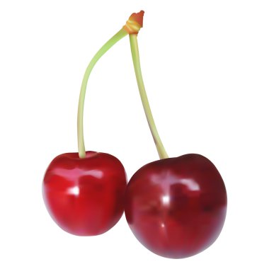 Cherry - vector image