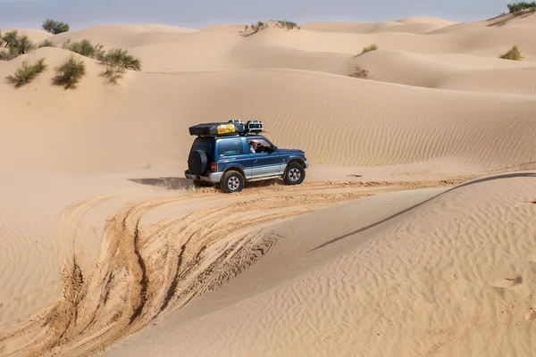 4X4 vehicle drives around the sand dunes of the Sahara Desert. Stock Image