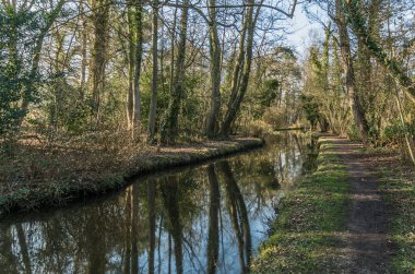 Woodland path beside tranquil stream in Fairhaven Woodland and W clipart