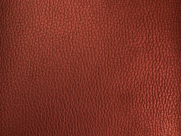 Textura de couro vermelho close-up — Fotografia de Stock