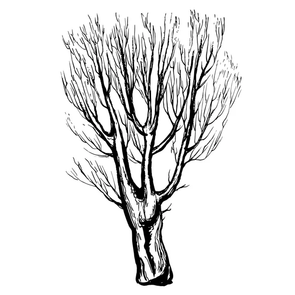 Silhouette albero disegnato a mano e ceppo su sfondo bianco — Vettoriale Stock