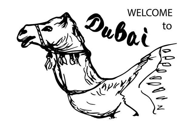 Handgezeichnetes Kamel mit Text "Willkommen in Dubai" — Stockvektor