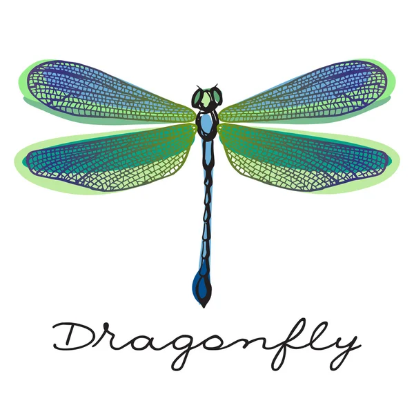 Libellula colorata disegnata a mano con ali disegnate doodle — Vettoriale Stock