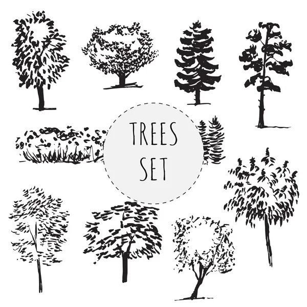 Conjunto de diferentes tipos de árboles dibujados a mano — Vector de stock