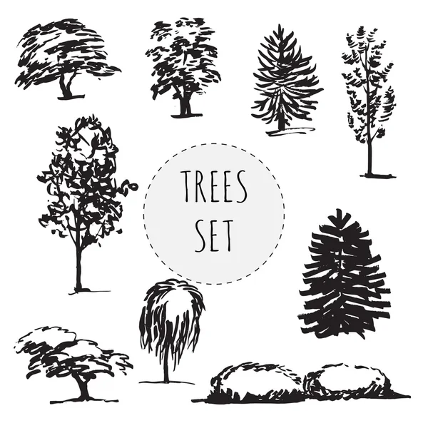Set di diversi tipi di alberi disegnati a mano — Vettoriale Stock