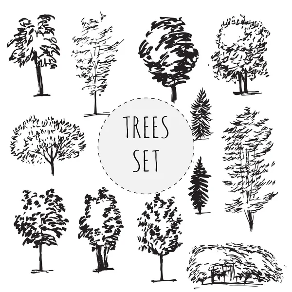Набор различных типов рисованных вручную деревьев — стоковый вектор