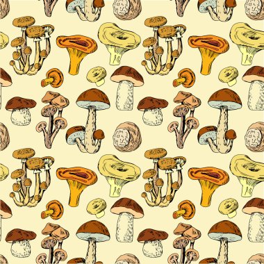 Seamless pattern with hand drawn edible mushrooms clipart