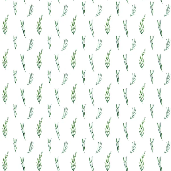Watercolor Lavender Seamless Pattern White Background Hand Drawn Botanic Deign — Stock Photo, Image