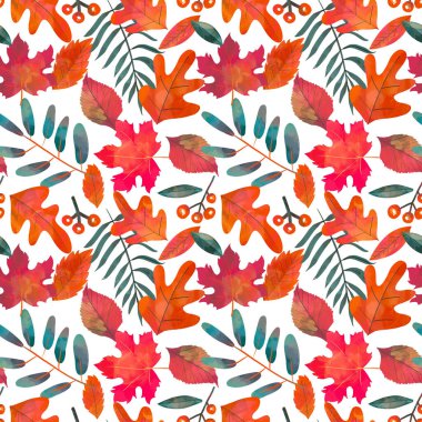 Renkli el şafağı beyaz arka planda sonbahar yaprakları. Şükran Günü kusursuz desen, sonbahar desenleri
