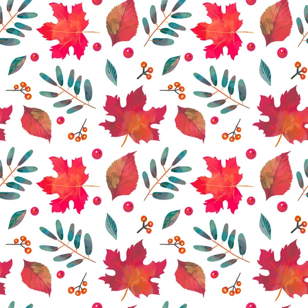 Colorful Hand Dawn Autumn Leaves White Background Thanksgiving Seamless Pattern — Stock Photo, Image
