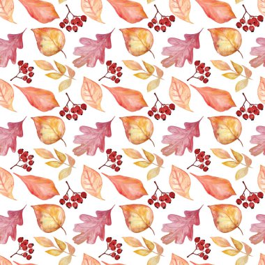 Beyaz arka planda balkabağı ve sonbahar yapraklı suluboya deseni. Şükran Günü Dekorasyonu